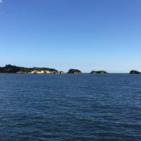 ブログ004
